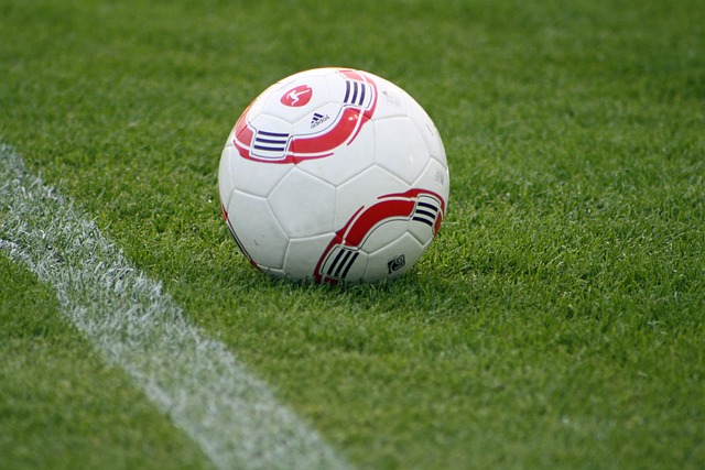 顶尖运动员 顶尖运动员