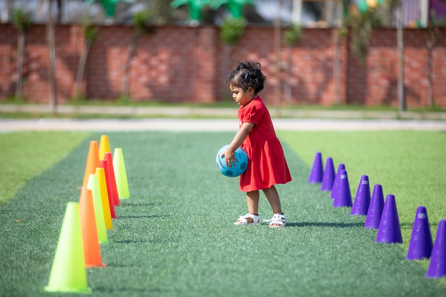 其团队对比 其团队对比