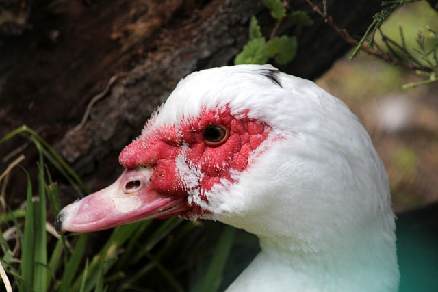 正是由于上 正是由于上