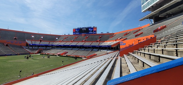 迷和媒体的 迷和媒体的