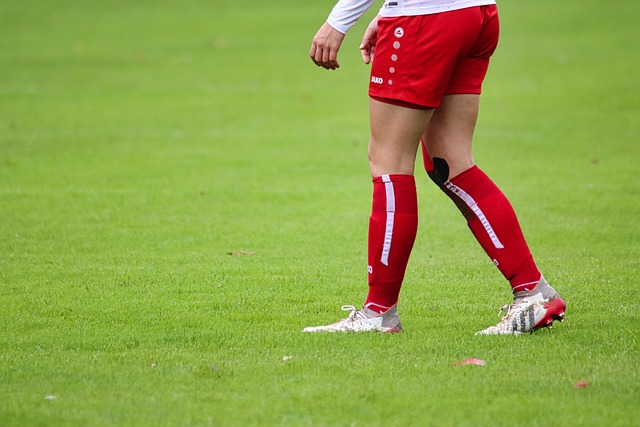 如果广东队 如果广东队