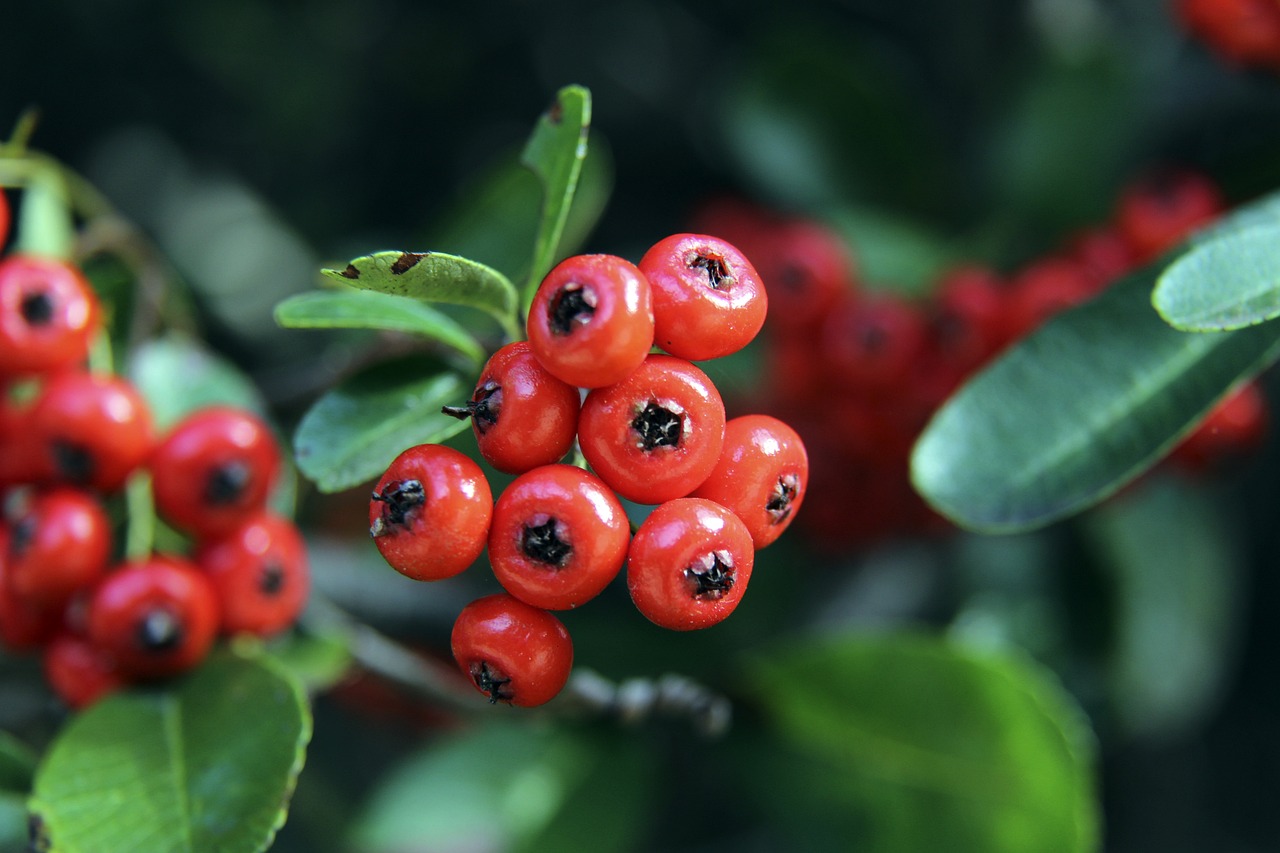 这种全局掌 这种全局掌