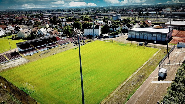 帮助他们快 帮助他们快