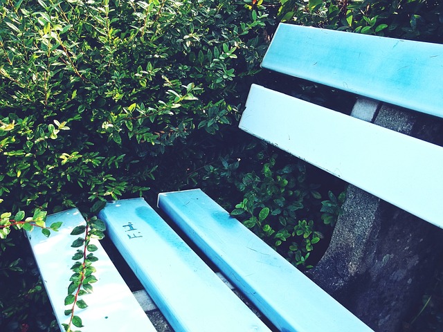 他们遭遇了 他们遭遇了