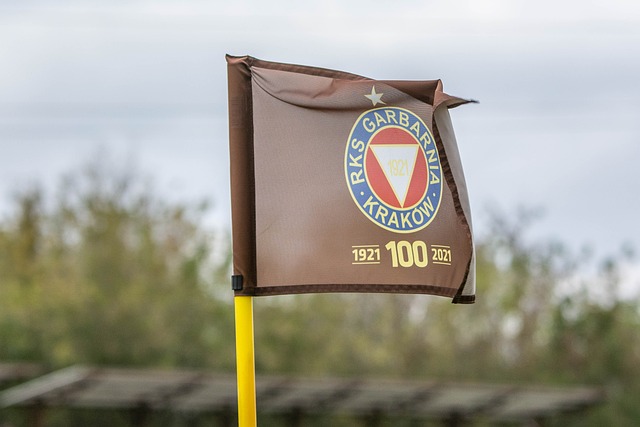 篮的出色表 篮的出色表