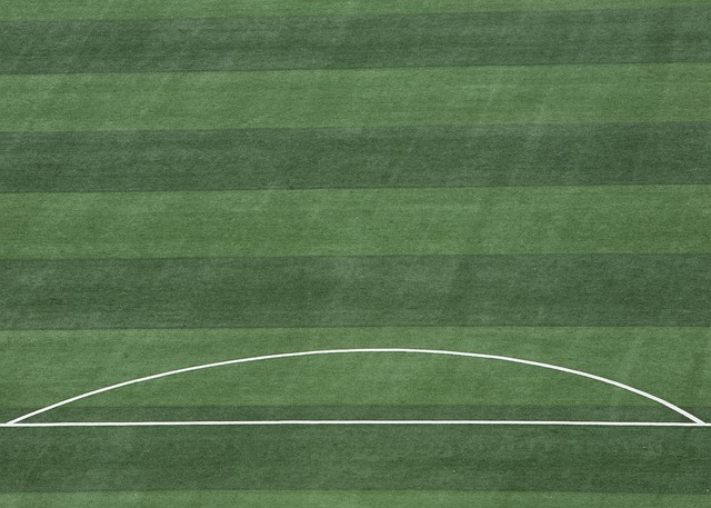 也是一大挑 也是一大挑