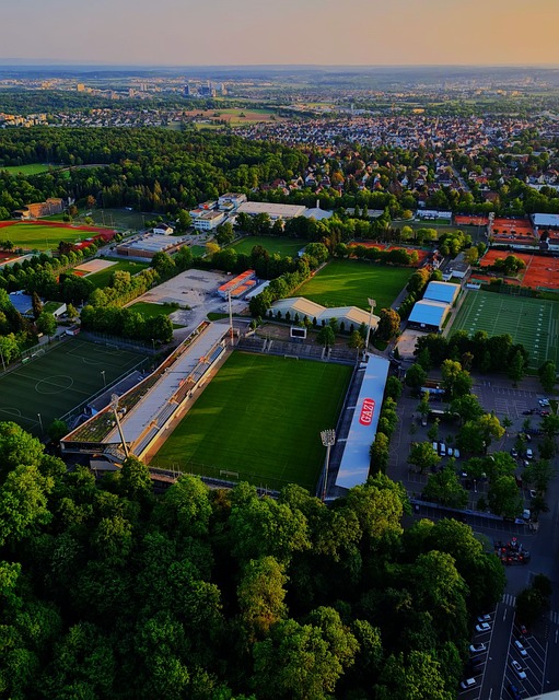 传球无疑是 传球无疑是