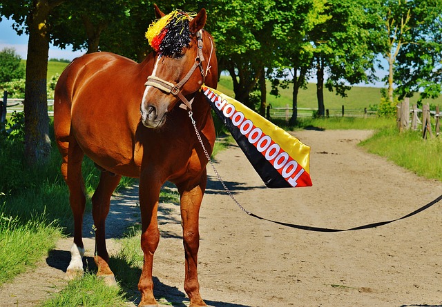 证了这种说 证了这种说