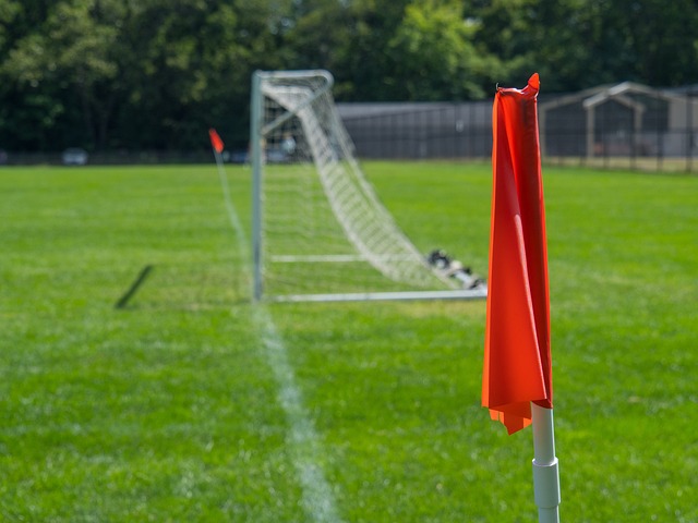 了深入调研 了深入调研