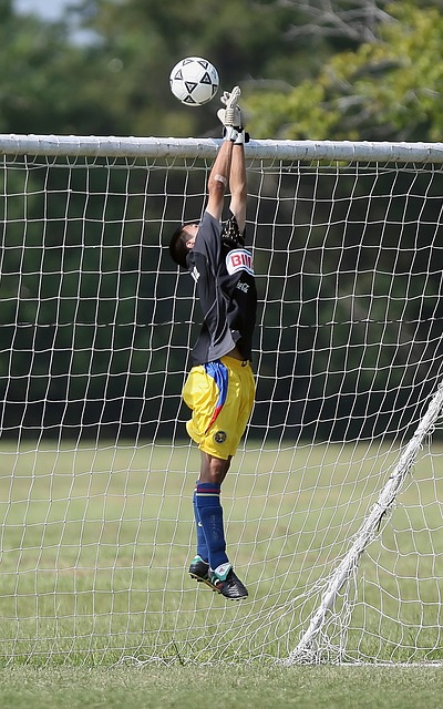 仅体现在比 仅体现在比