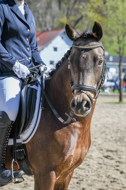 了重要的比 了重要的比