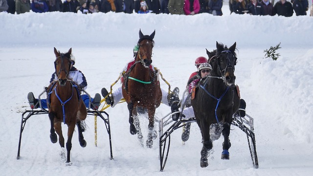 不仅是视觉 不仅是视觉